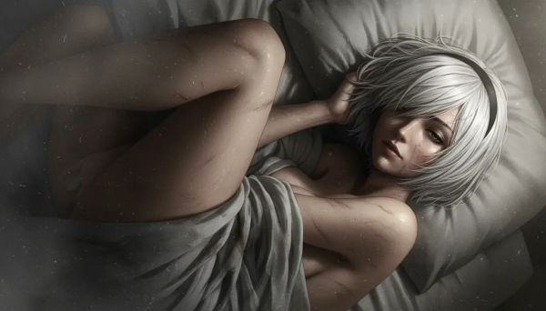 2B Nier фотки v.1.12465655