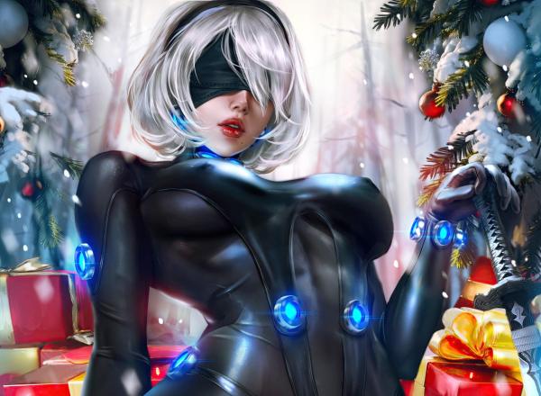 2B Nier фотки v.1.56we8