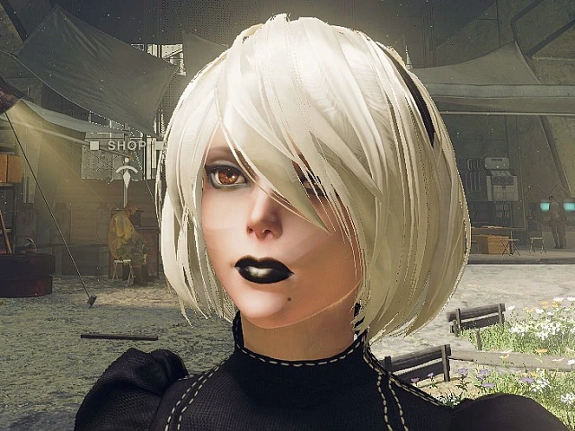 2B Гот