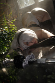 NieR automata 2B фото v 1.71962